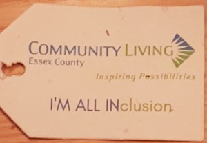 inclusion