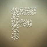 f letter design