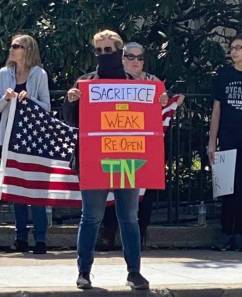 wolf in sheeps clothing